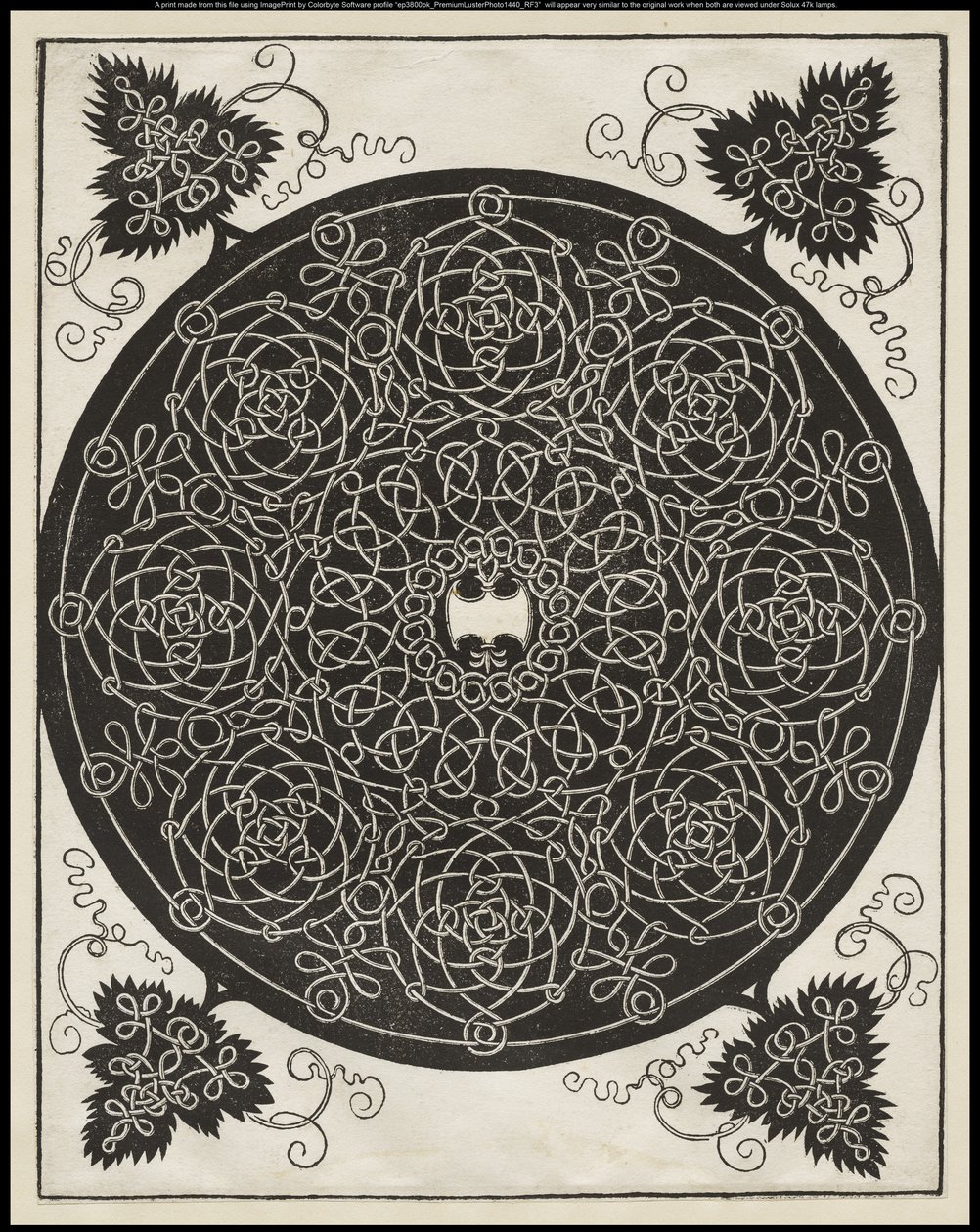 Fifth Knot, jossa valkoinen kilpi kuusi kärkeä keskellä, n.1506 tekijältä Albrecht Dürer
