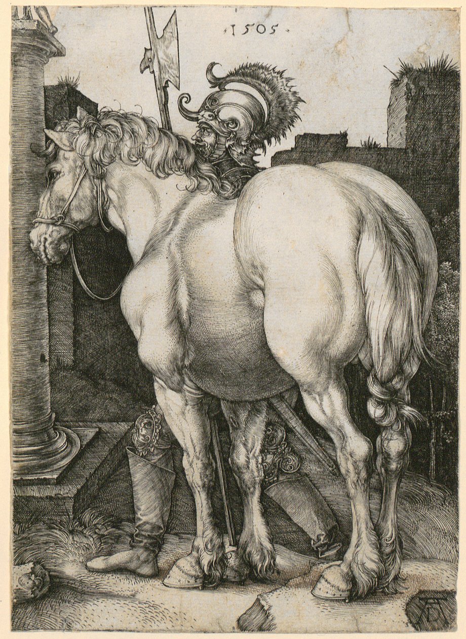 Suuri hevonen tekijältä Albrecht Dürer