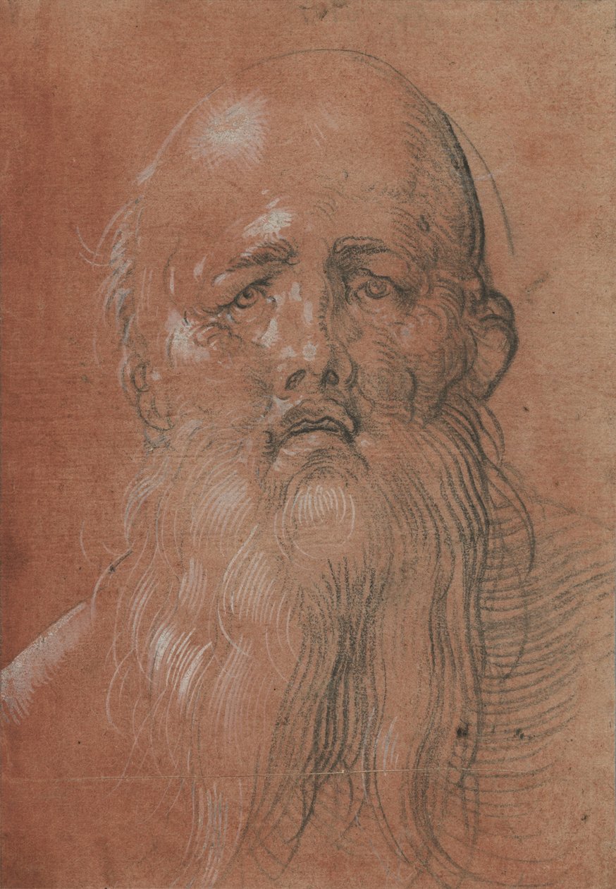 Parrakas miehen pää tekijältä Albrecht Dürer