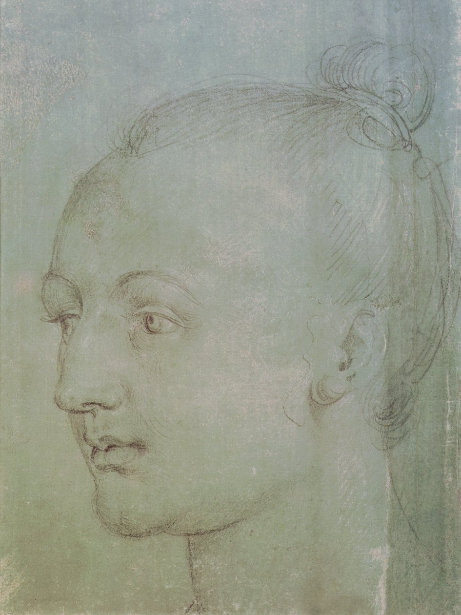 Nuoren naisen pää (musta liitu korotettu valkoisella liidulla vihreällä paperilla) tekijältä Albrecht Dürer