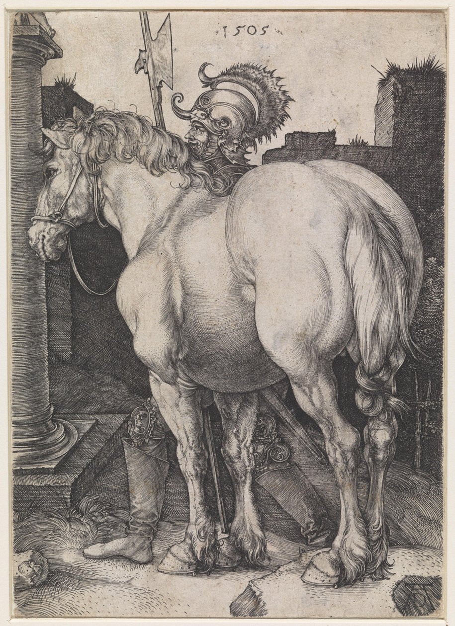 Iso hevonen tekijältä Albrecht Dürer
