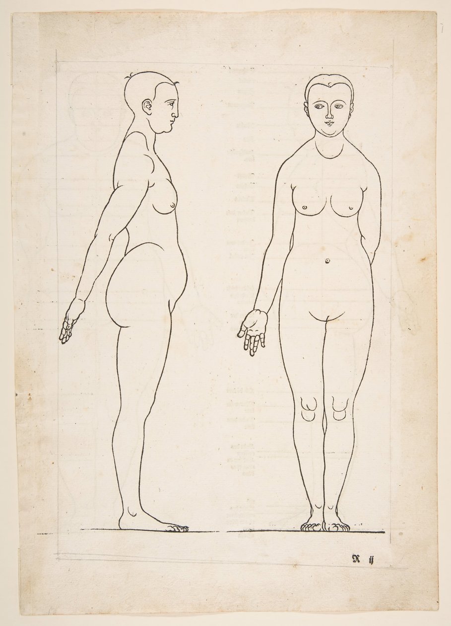 IIKuvaus Dürerin Four Books of Human Proportion -kirjasta, Nürnberg, 1528.n.d. tekijältä Albrecht Dürer