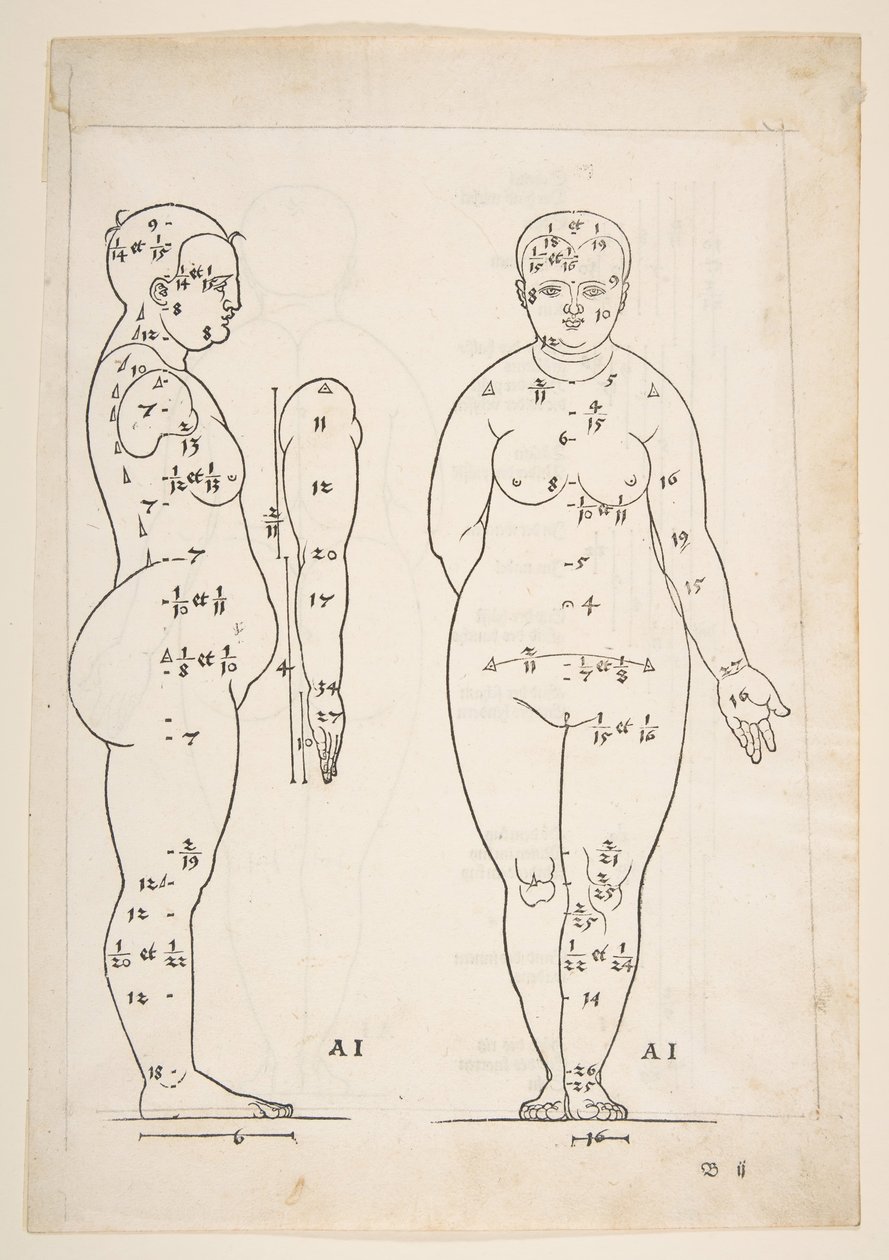 Kuvitus Dürerin teoksesta Four Books of Human Proportion, Nürnberg, 1528.n.d. tekijältä Albrecht Dürer