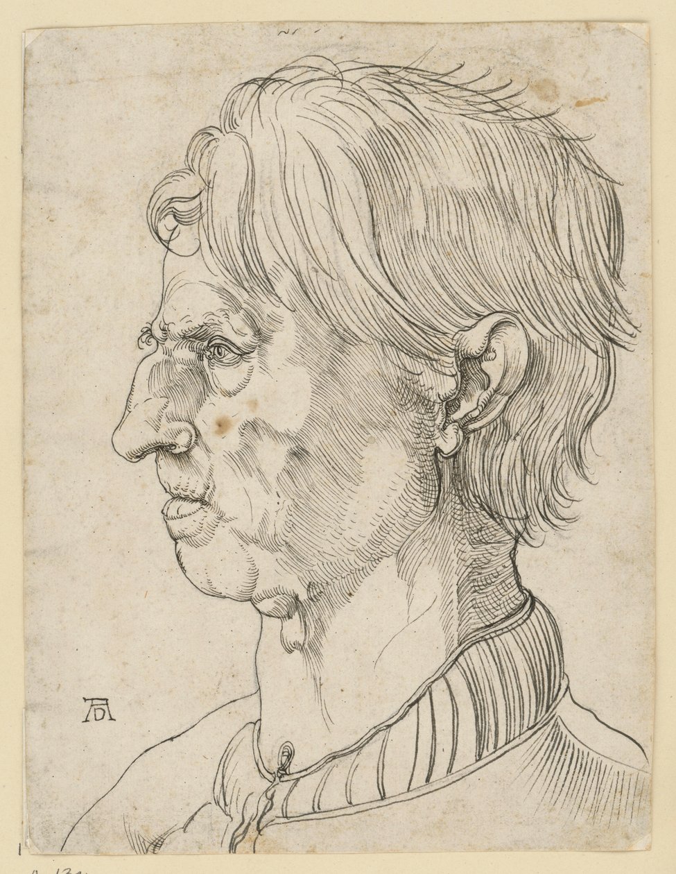 Vanhemman parrattoman miehen pää, profiilissa vasemmalle tekijältä Albrecht Dürer