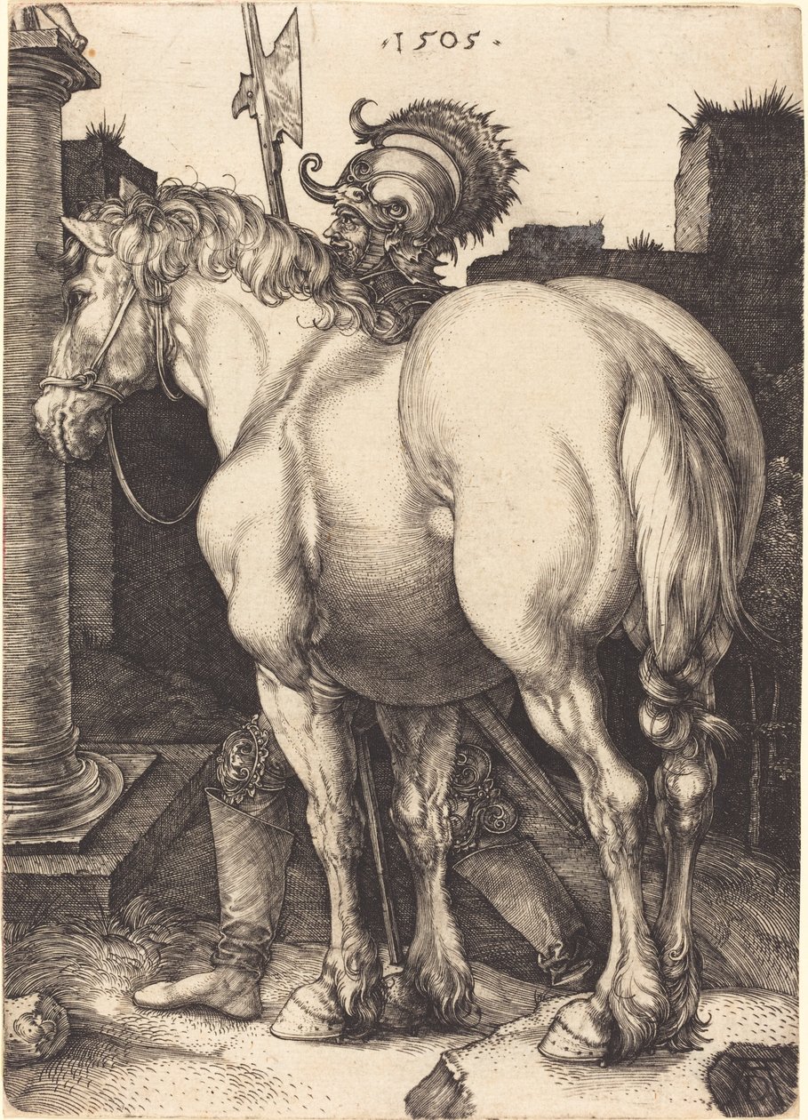Iso hevonen tekijältä Albrecht Dürer