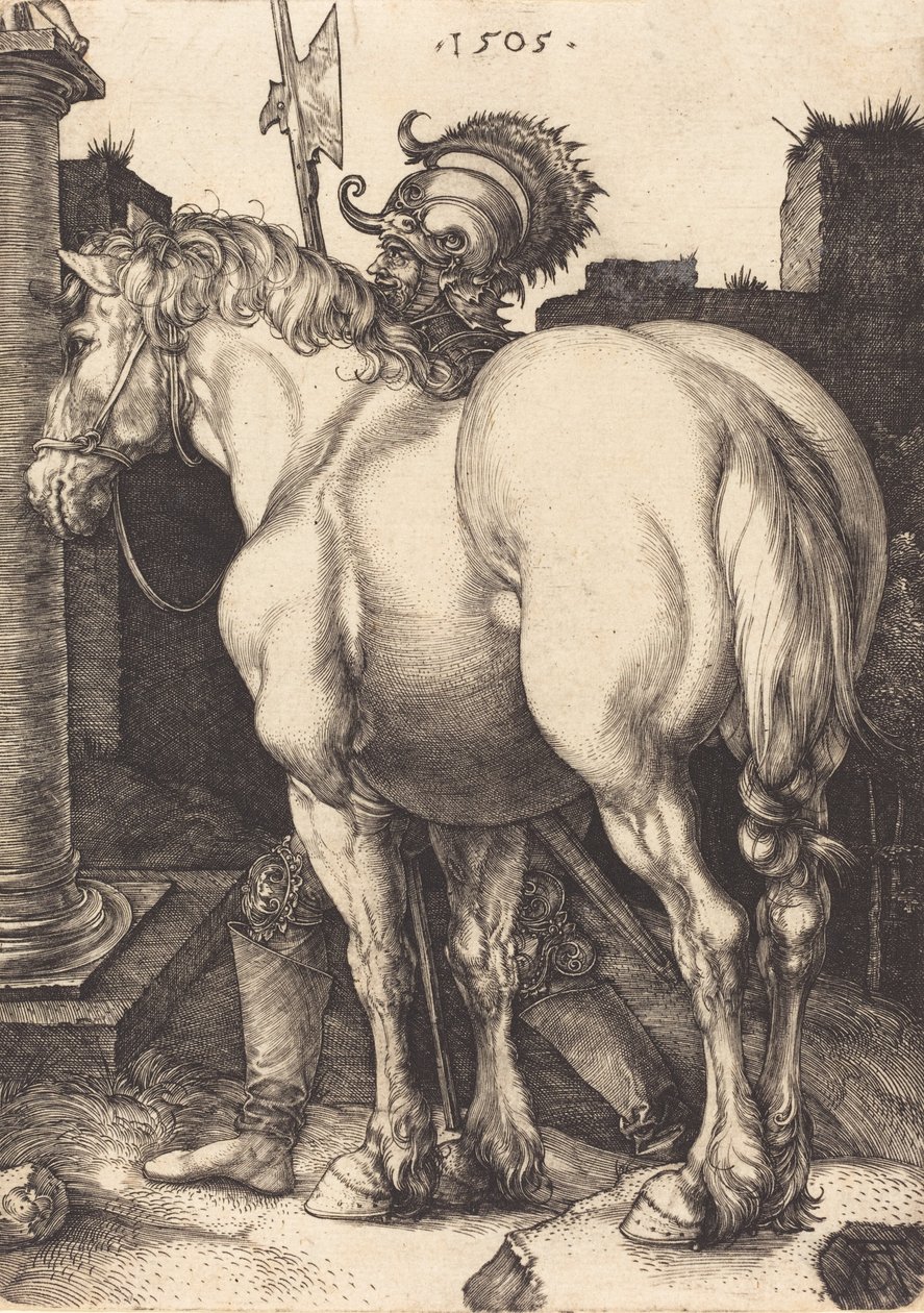 Iso hevonen, 1505. tekijältä Albrecht Dürer