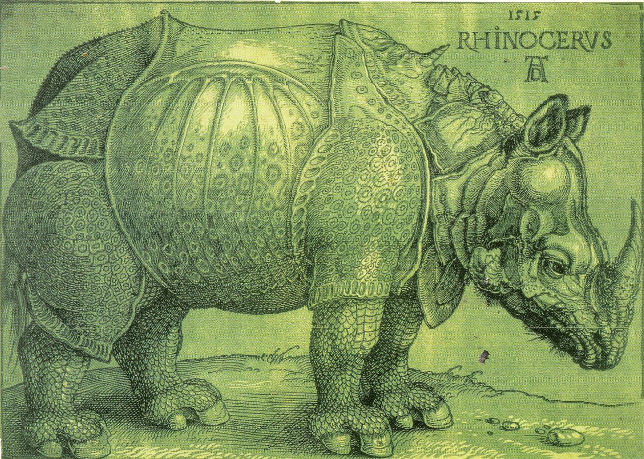 Latinaa:  Rhinocerus Sarvikuono. tekijältä Albrecht Dürer