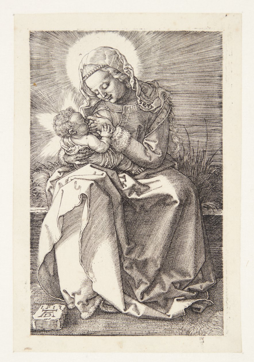 Madonna hoitotyössä tekijältä Albrecht Dürer