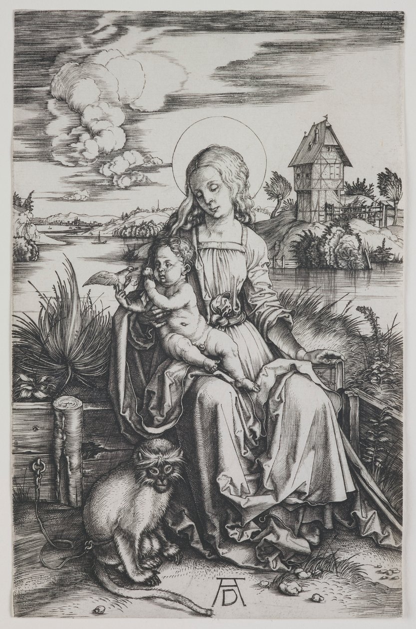 Madonna ja apina tekijältä Albrecht Dürer