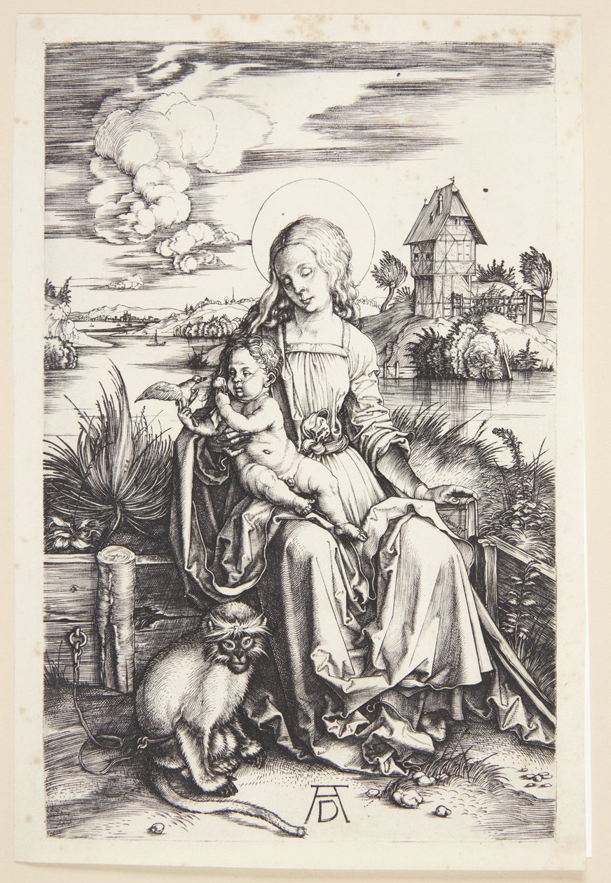 Madonna apinan kanssa tekijältä Albrecht Dürer