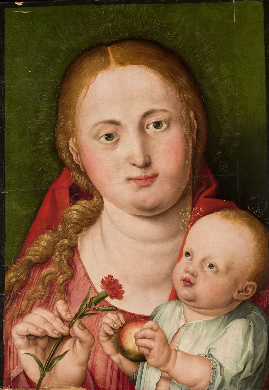 Madonna, Jeesus-lapsi ja neilikka tekijältä Albrecht Dürer