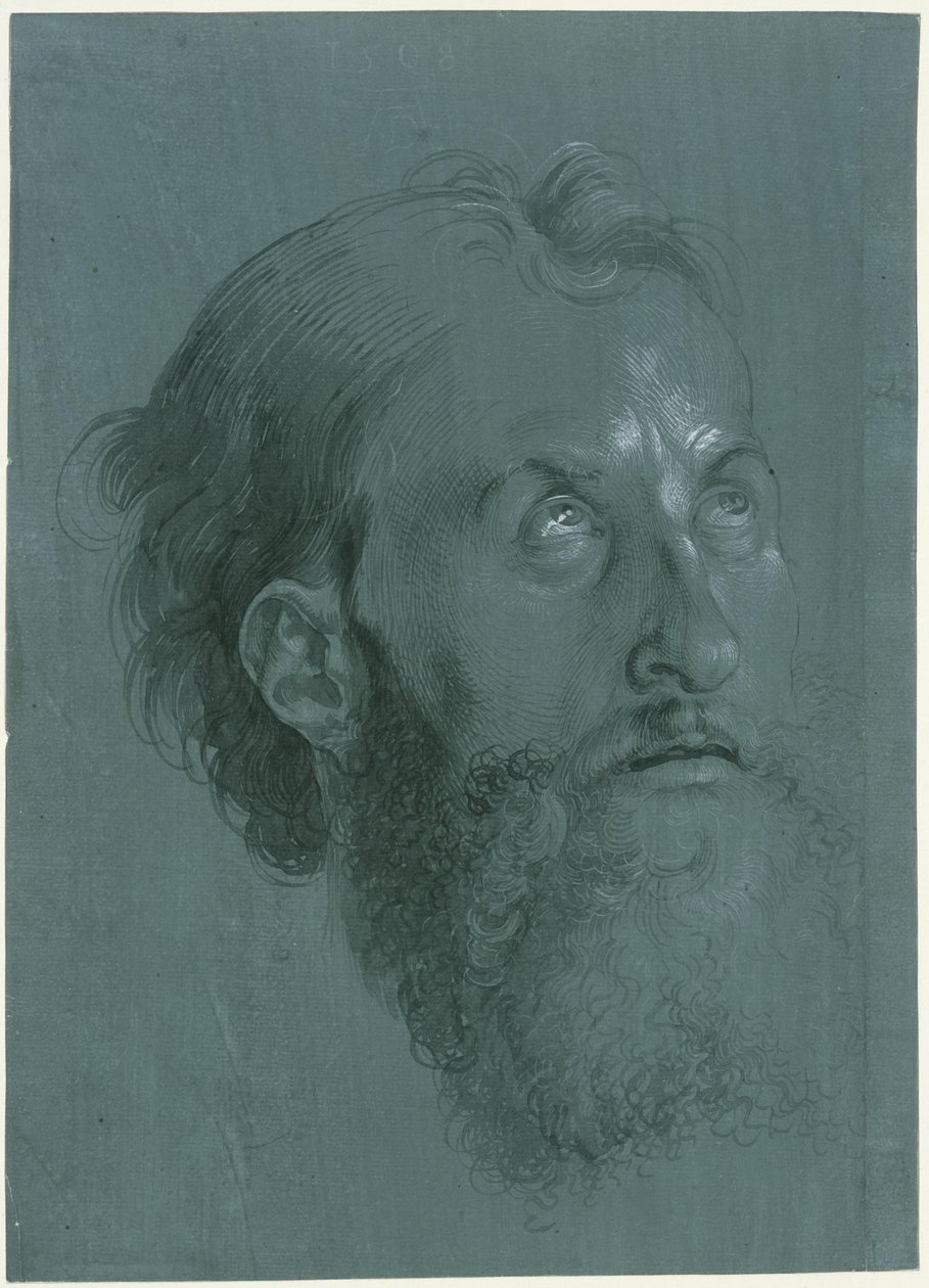 Oikealle kääntyneen apostolin pää tekijältä Albrecht Dürer