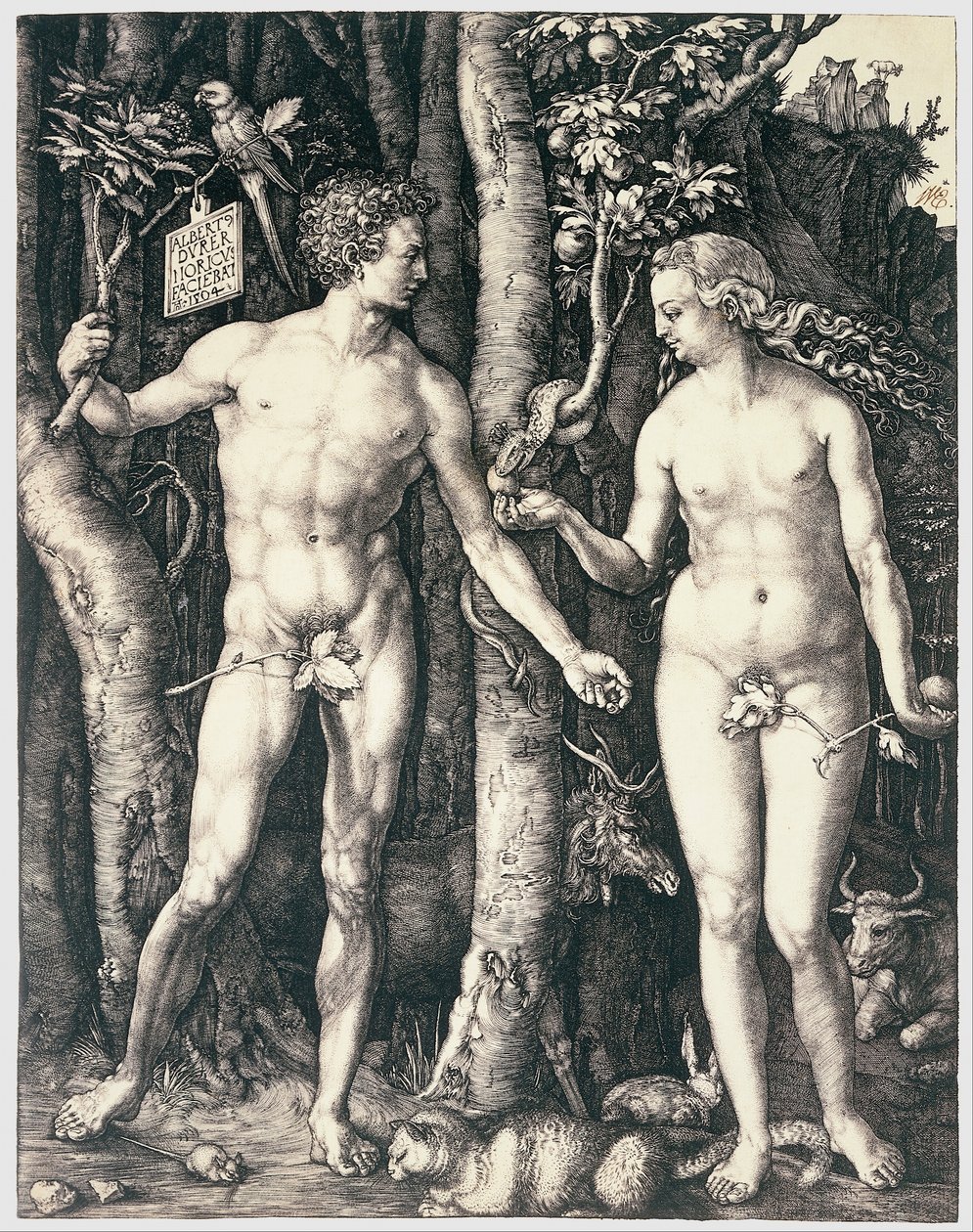 Perisynti tekijältä Albrecht Dürer