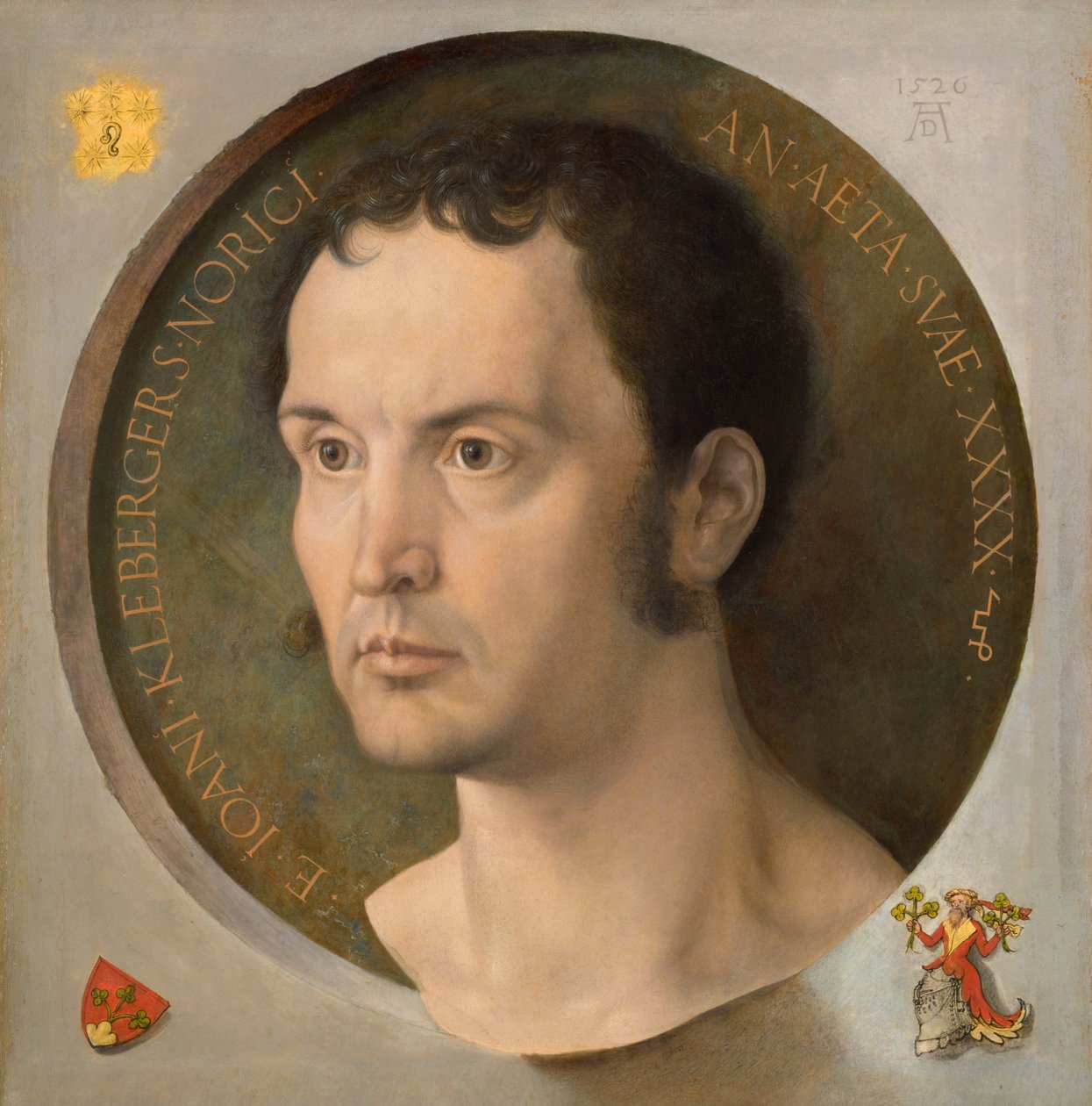 Johann Kleebergerin muotokuva, 1526 tekijältä Albrecht Dürer