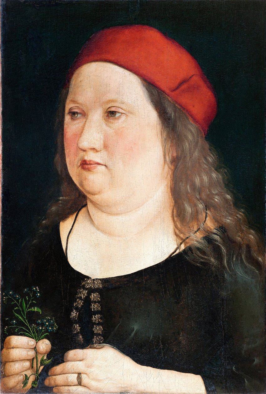 Miehen muotokuva, 1497 tekijältä Albrecht Dürer