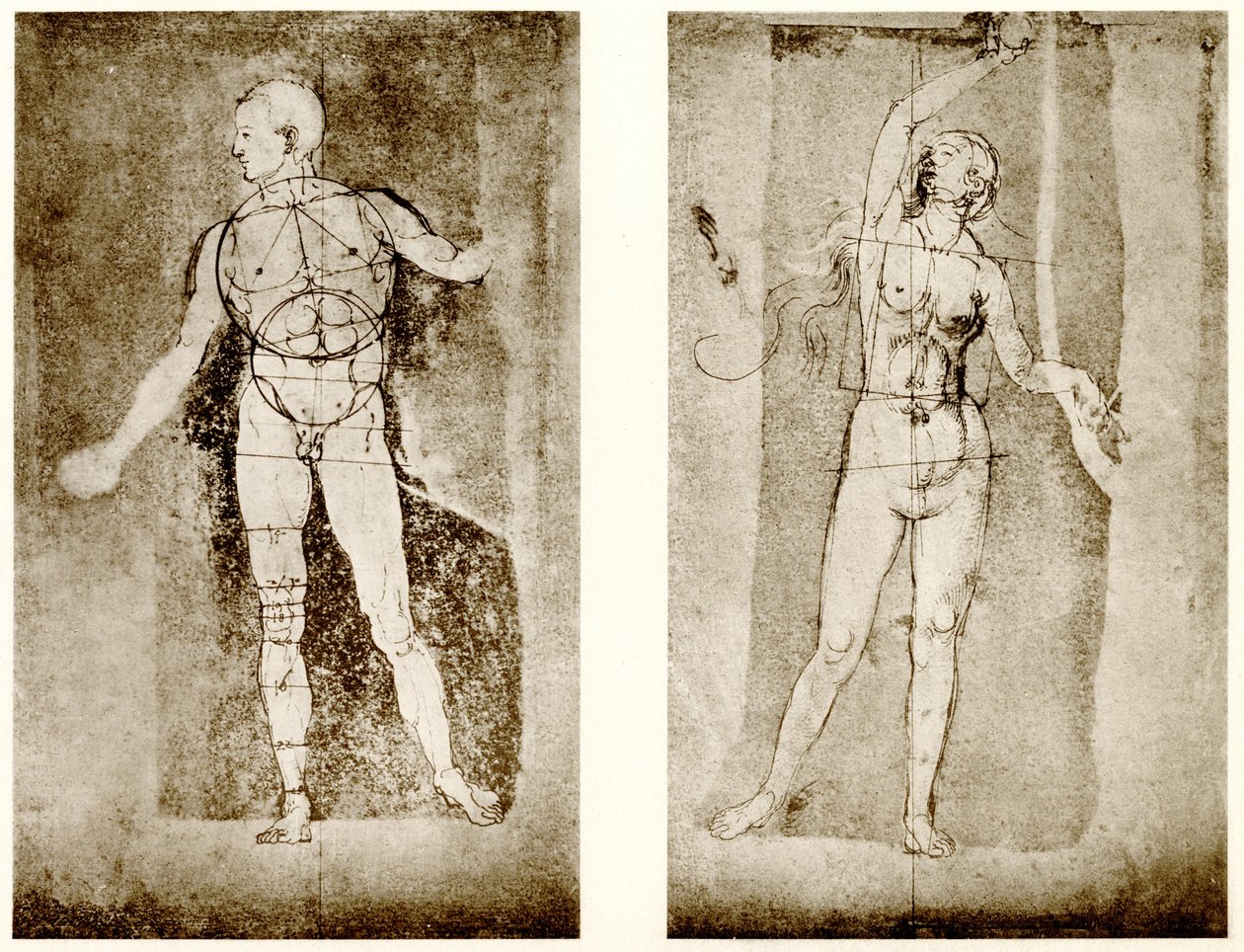 Aatamia ja Eevaa koskeva suhteellinen tutkimus tekijältä Albrecht Dürer