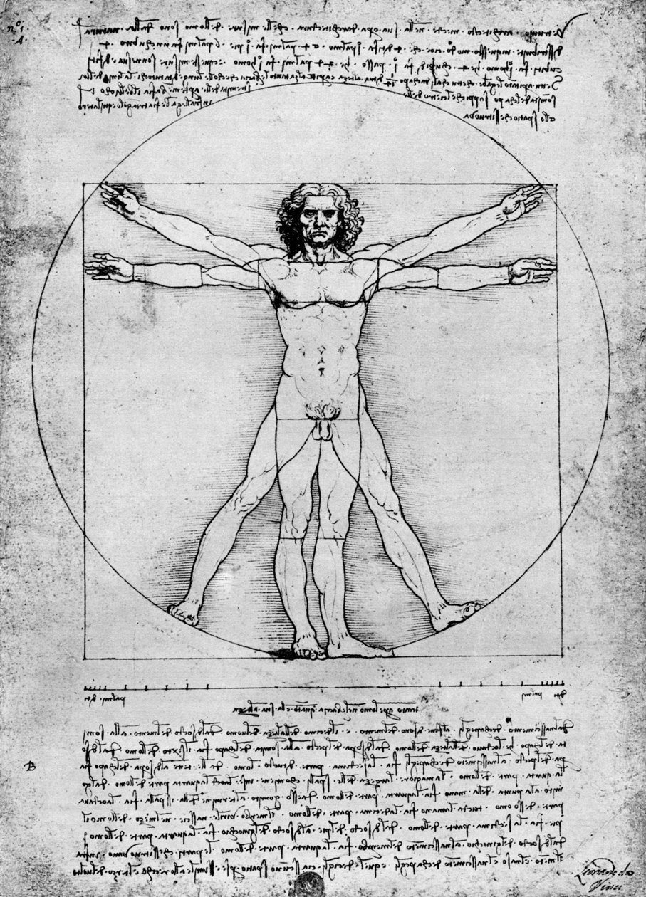 Ihmishahmon suhteet, c1492, 1936 tekijältä Albrecht Dürer