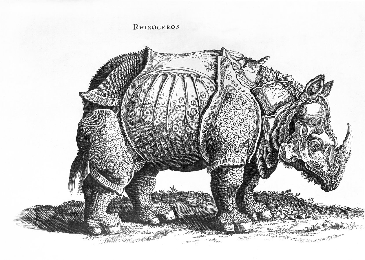 Rhinoceros, nro 76 heinäkuussa 1815 julkaistusta Conrad Gesnerin (1516-65) Historia Animaliumista tekijältä Albrecht Dürer