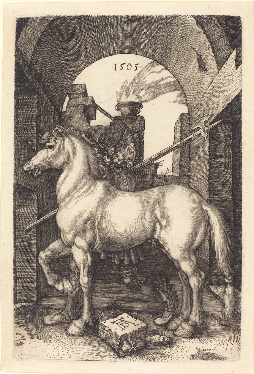 Pieni hevonen tekijältä Albrecht Dürer