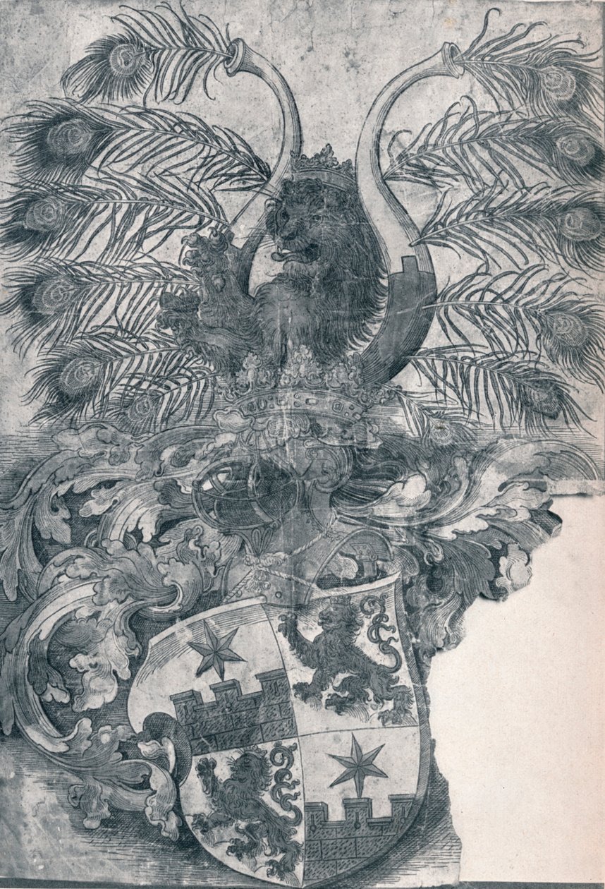 Wilhelmin ja Wolfgang Roggendorffin vaakuna, 1520 1906 tekijältä Albrecht Dürer