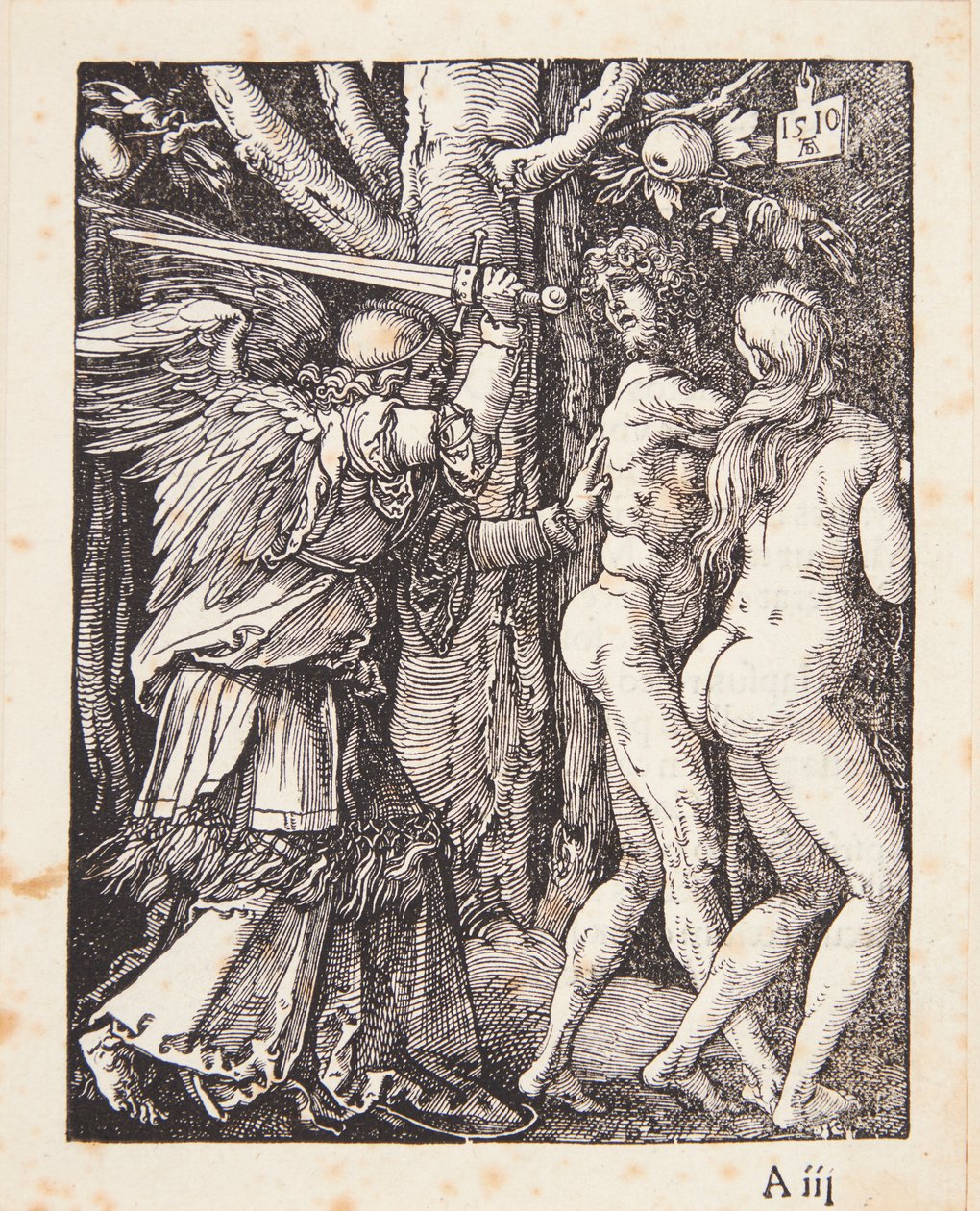 Karkotus paratiisista tekijältä Albrecht Dürer