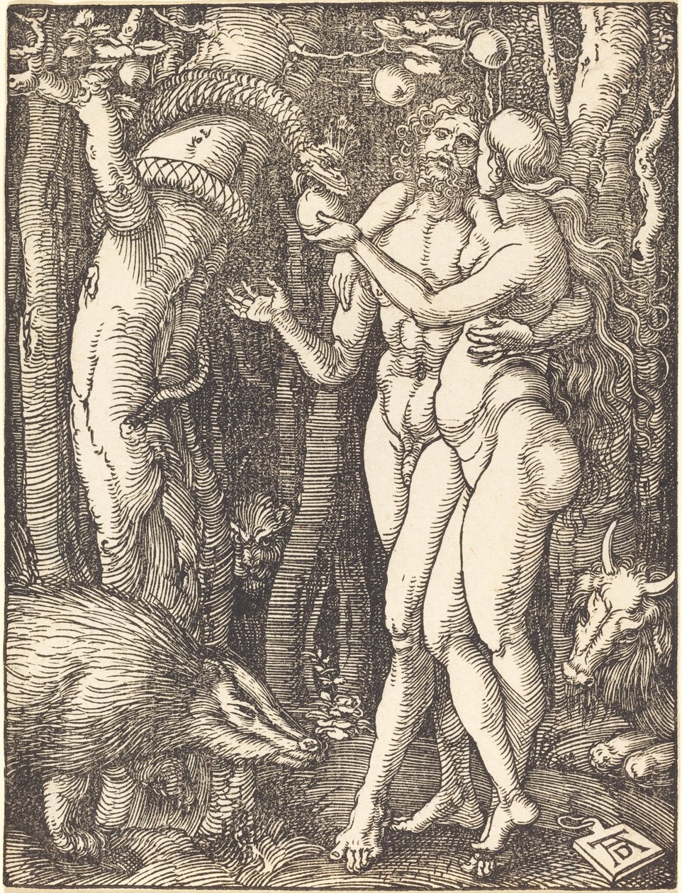 Ihmisen lankeemus tekijältä Albrecht Dürer