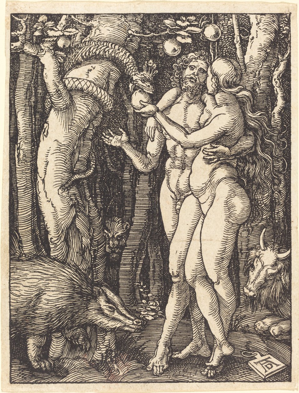 Ihmisen lankeemus tekijältä Albrecht Dürer
