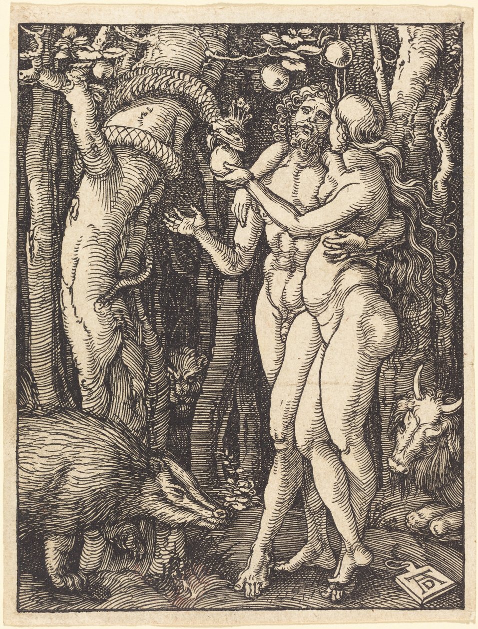 Syntiinlankeemus tekijältä Albrecht Dürer