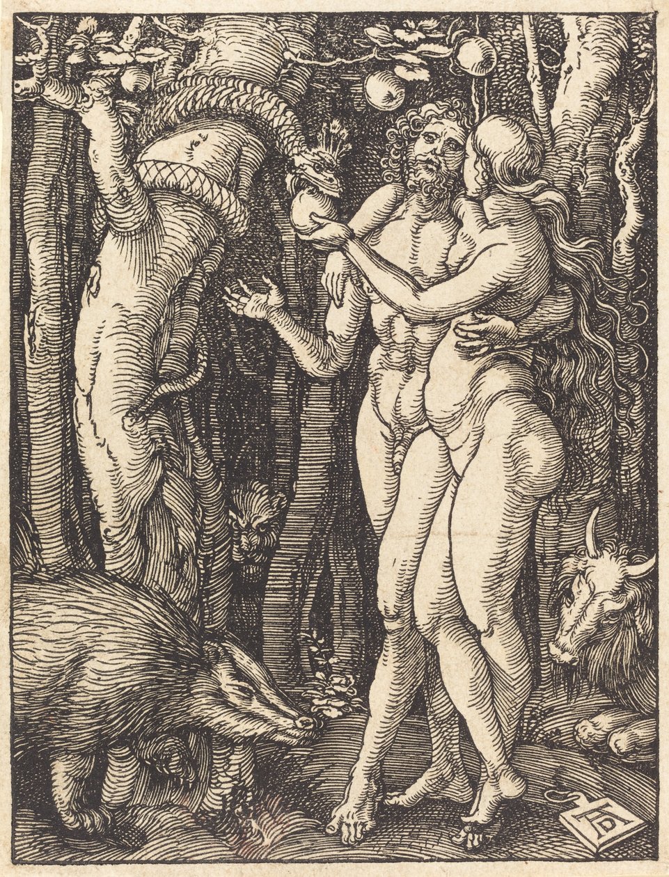 The Fall of Man, luultavasti n. 15091510. tekijältä Albrecht Dürer