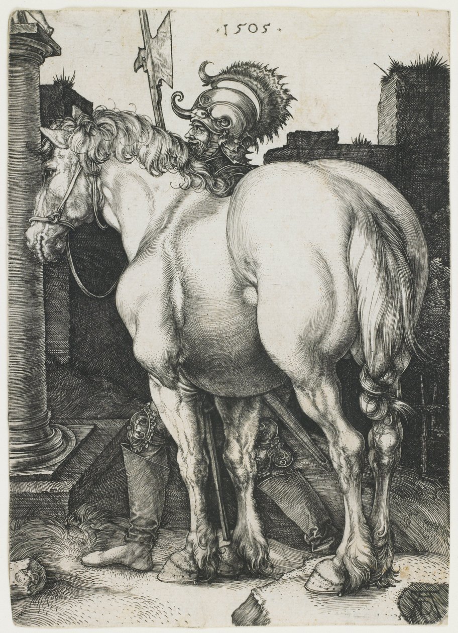 Suuri hevonen tekijältä Albrecht Dürer