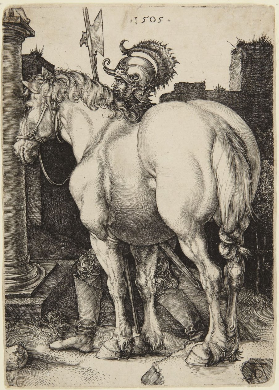 Suuri hevonen tekijältä Albrecht Dürer