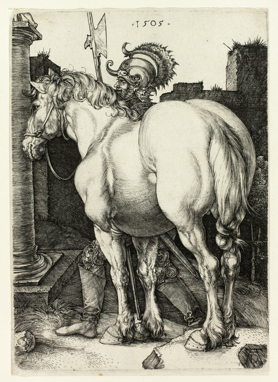 Suuri hevonen tekijältä Albrecht Dürer