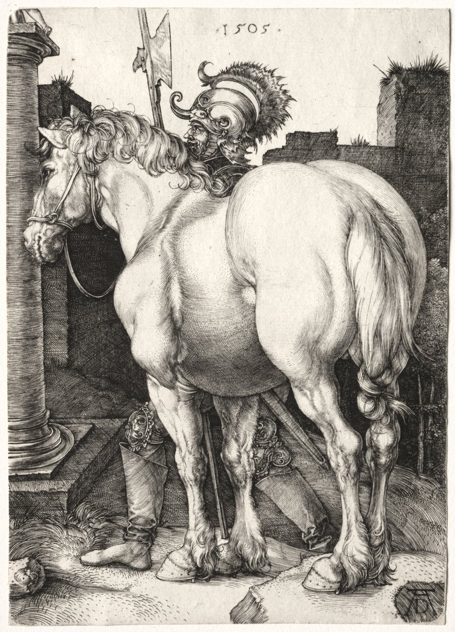 Suuri hevonen tekijältä Albrecht Dürer