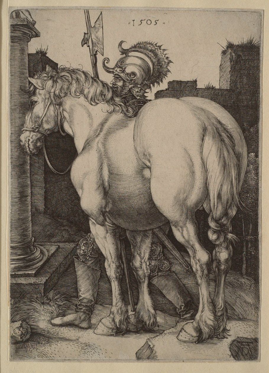 Suuri hevonen tekijältä Albrecht Dürer