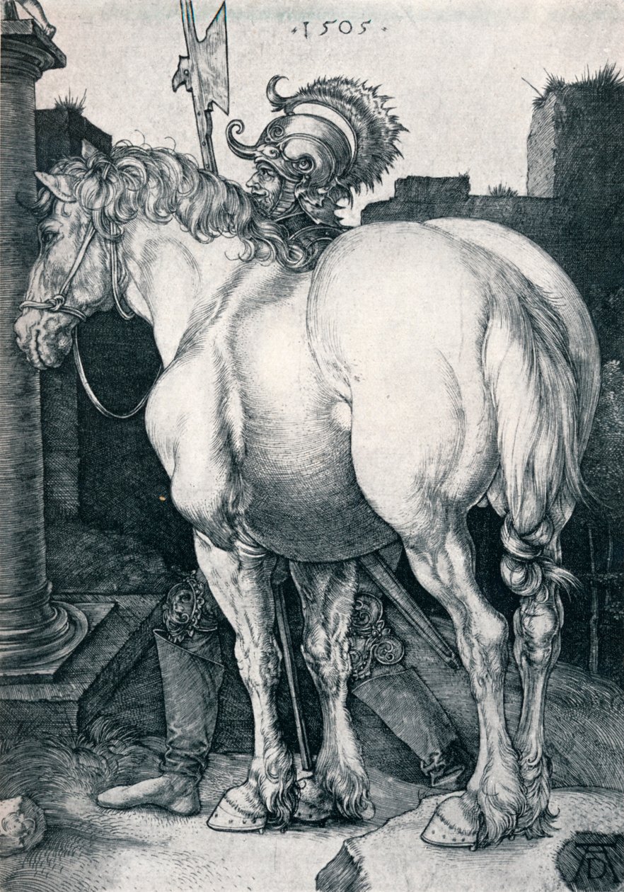 Suuri hevonen, 1505 1906 tekijältä Albrecht Dürer