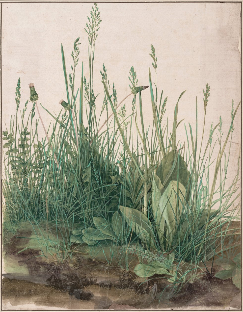 Suuri pala nurmikkoa, 1503 tekijältä Albrecht Dürer