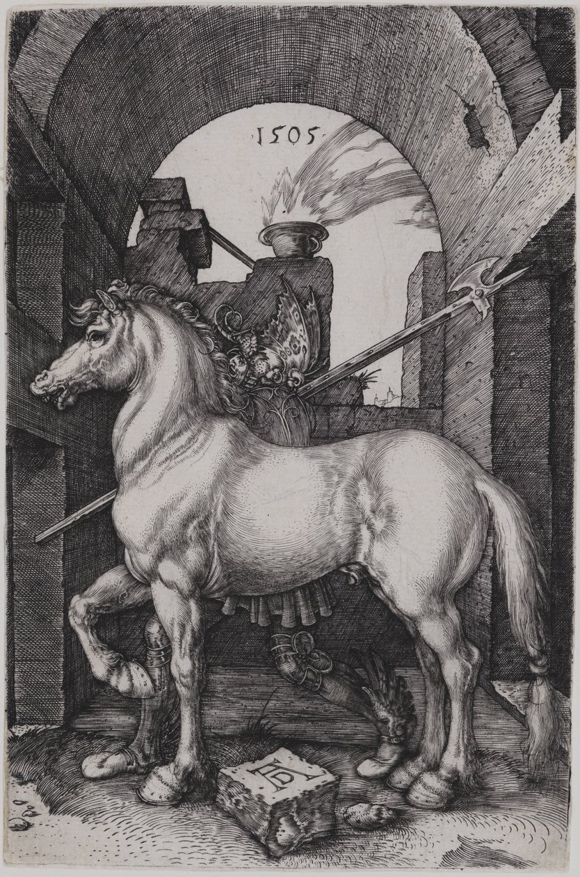 Pieni hevonen tekijältä Albrecht Dürer