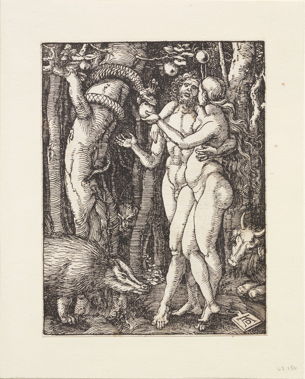 Pieni passio: Syntiinlankeemus tekijältä Albrecht Dürer