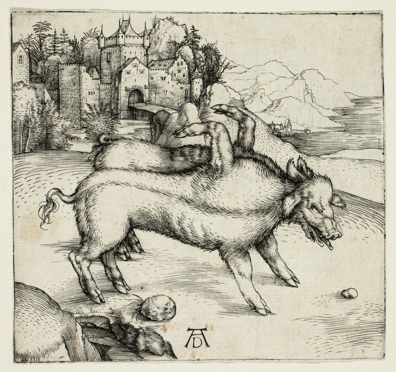 Landserin hirviömäinen emakko tekijältä Albrecht Dürer