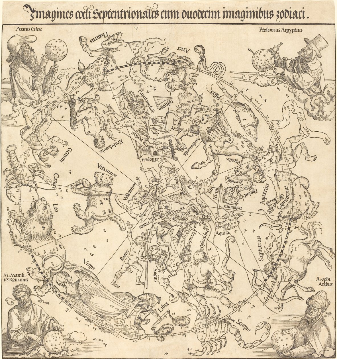 Pohjoinen taivaanpuolisko tekijältä Albrecht Dürer
