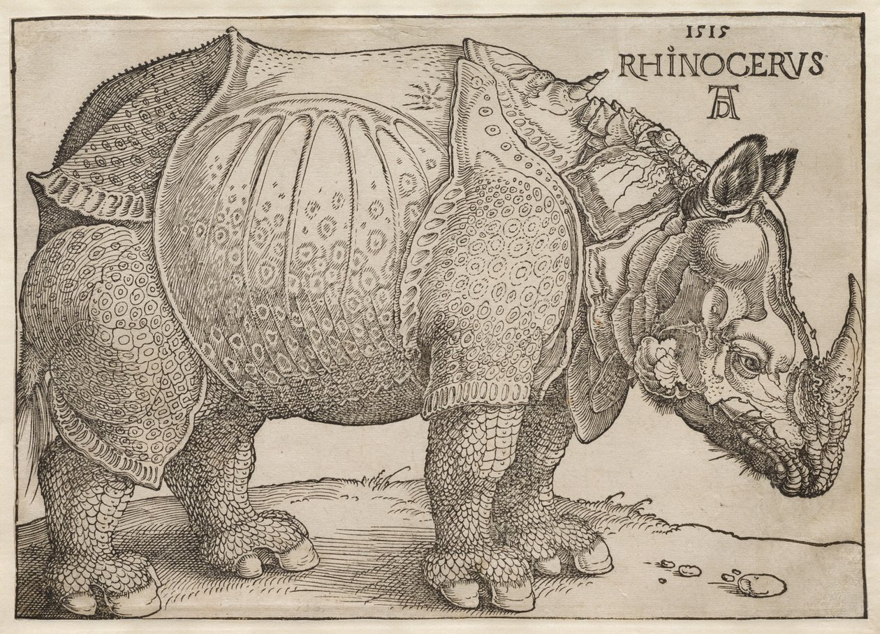 Sarvikuono tekijältä Albrecht Dürer