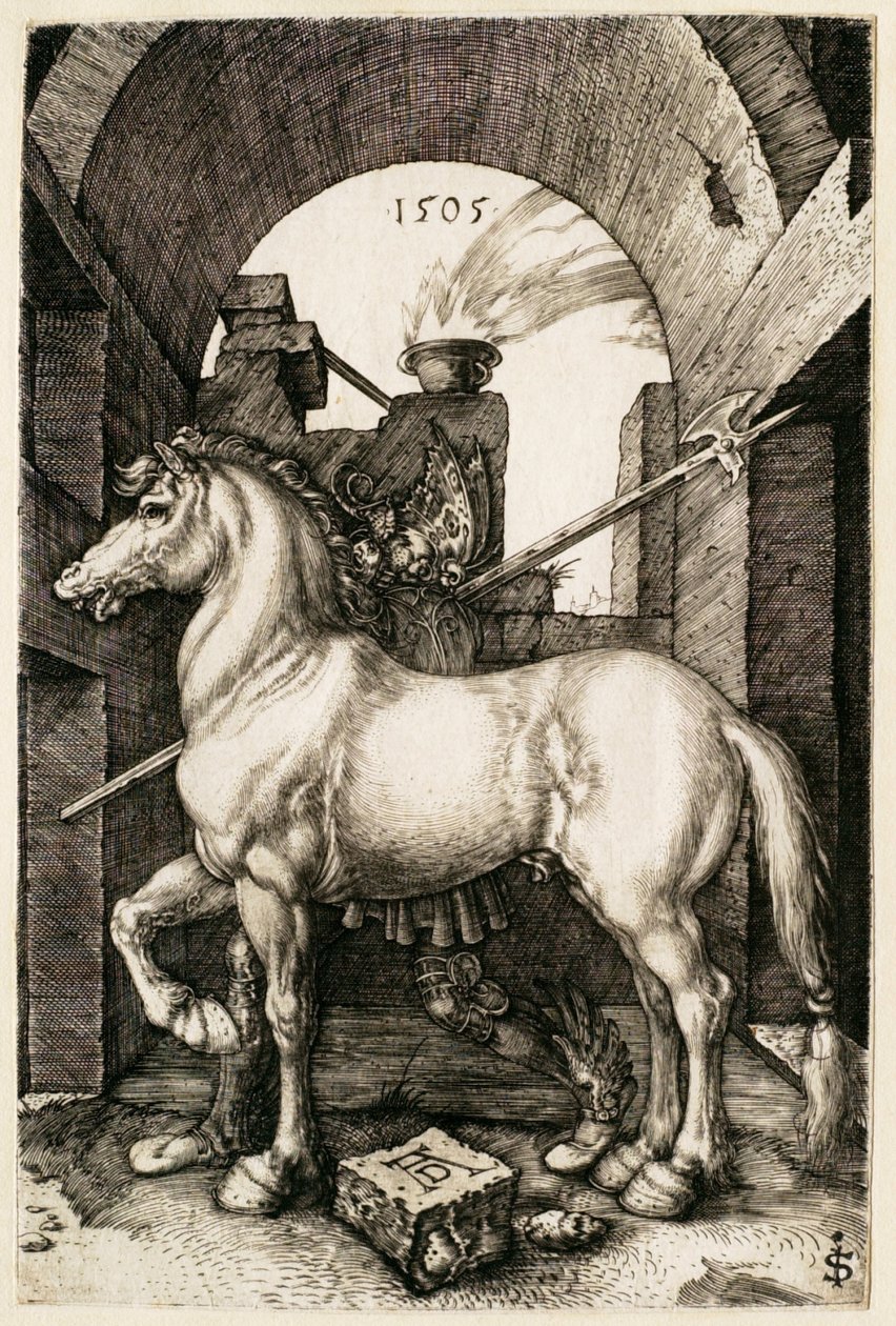 Pieni hevonen tekijältä Albrecht Dürer