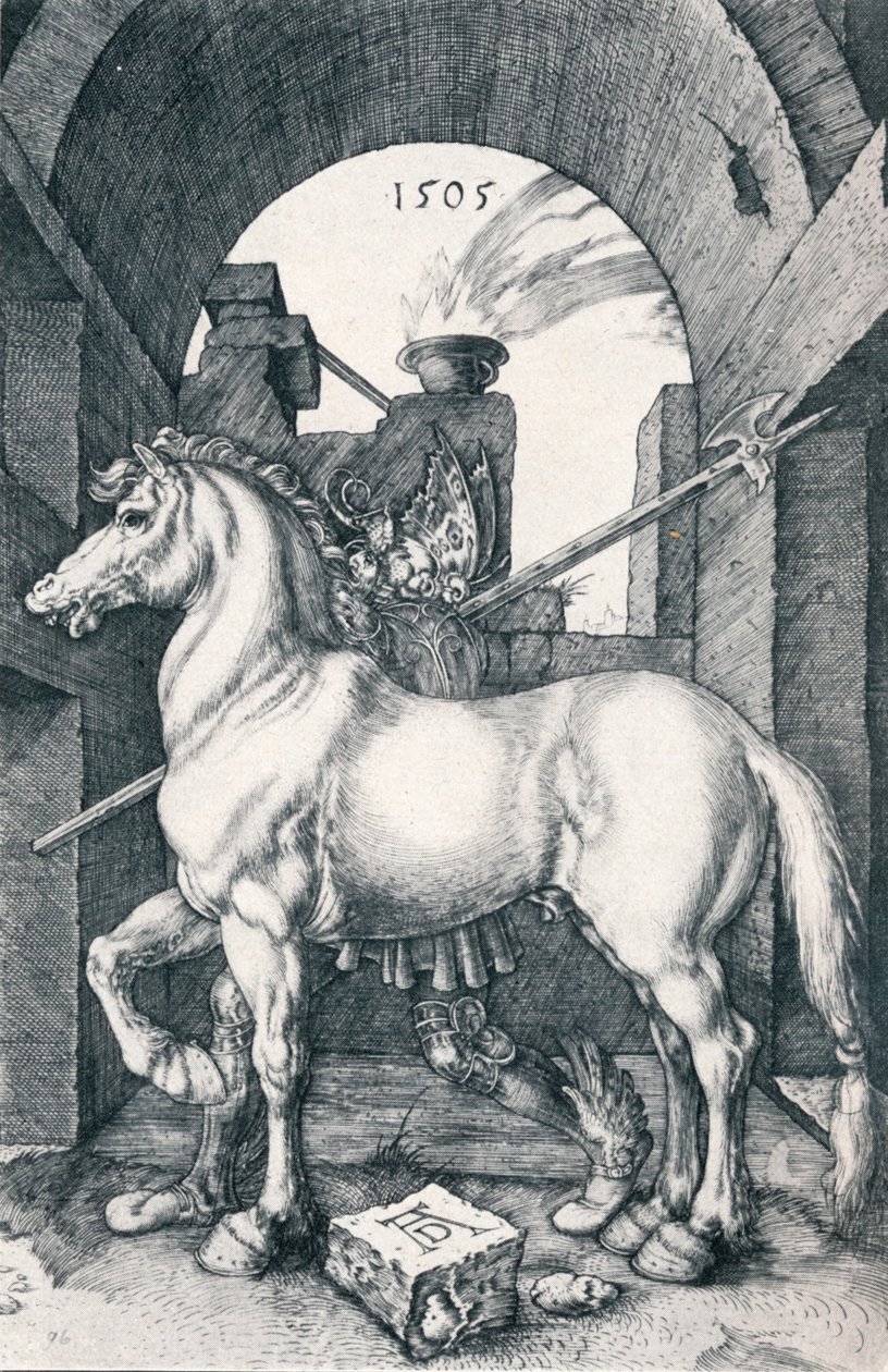 Pieni hevonen, 1505 1906 tekijältä Albrecht Dürer