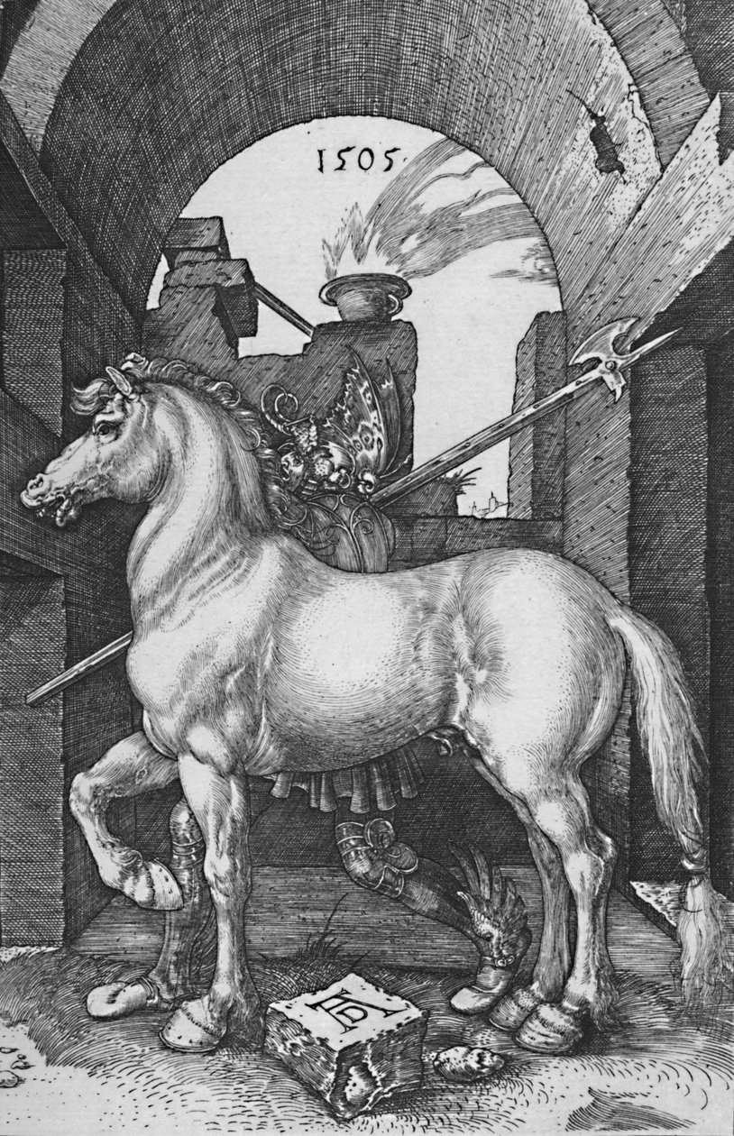 Pieni hevonen, 1505, 1906 tekijältä Albrecht Dürer