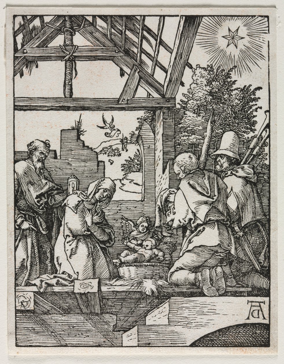 Pieni intohimo: Syntymä tekijältä Albrecht Dürer