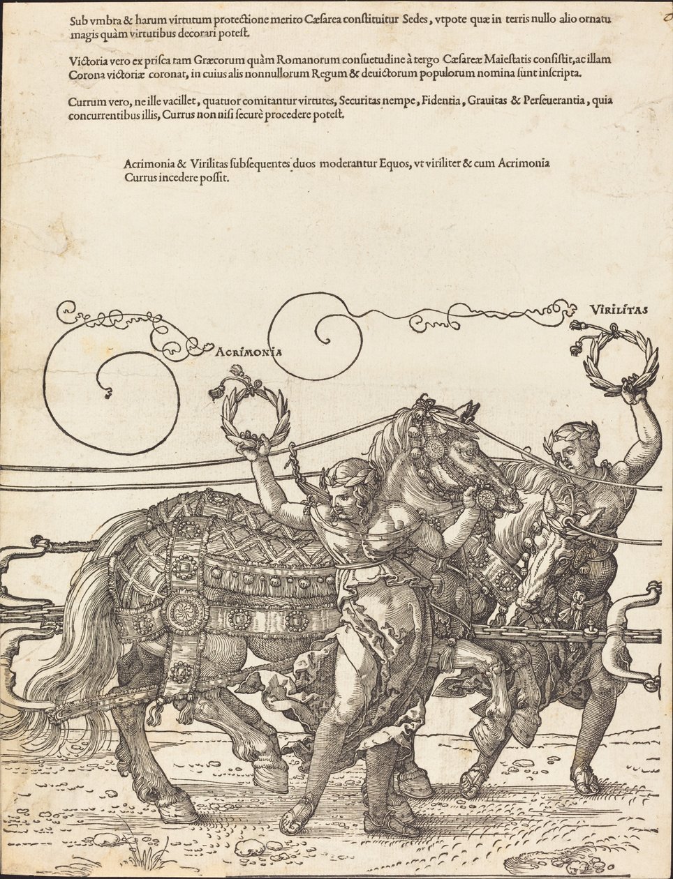 Maximilian I:n voittovaunut (suuri riemuauto) [kilpi 6/8] tekijältä Albrecht Dürer