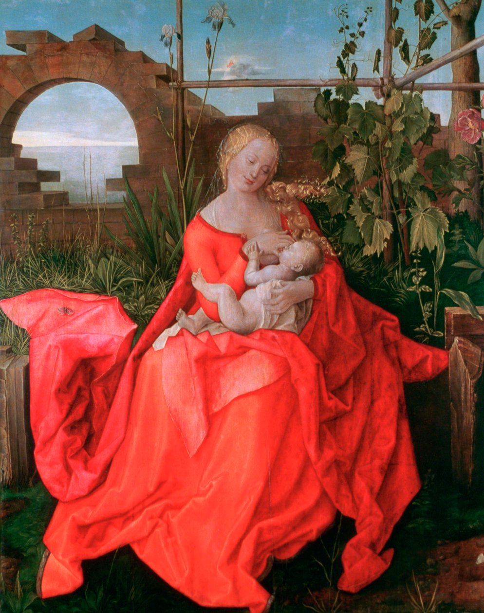 Neitsyt ja lapsi, Madonna iiriksen kanssa, 1500-1510 tekijältä Albrecht Dürer