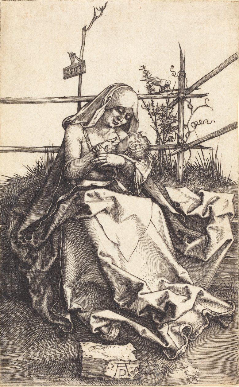 Neitsyt ja lapsi ruohopenkillä, 1503. tekijältä Albrecht Dürer