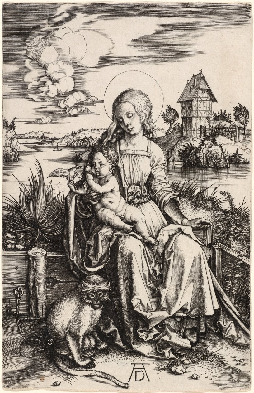 Neitsyt ja lapsi apinan kanssa tekijältä Albrecht Dürer