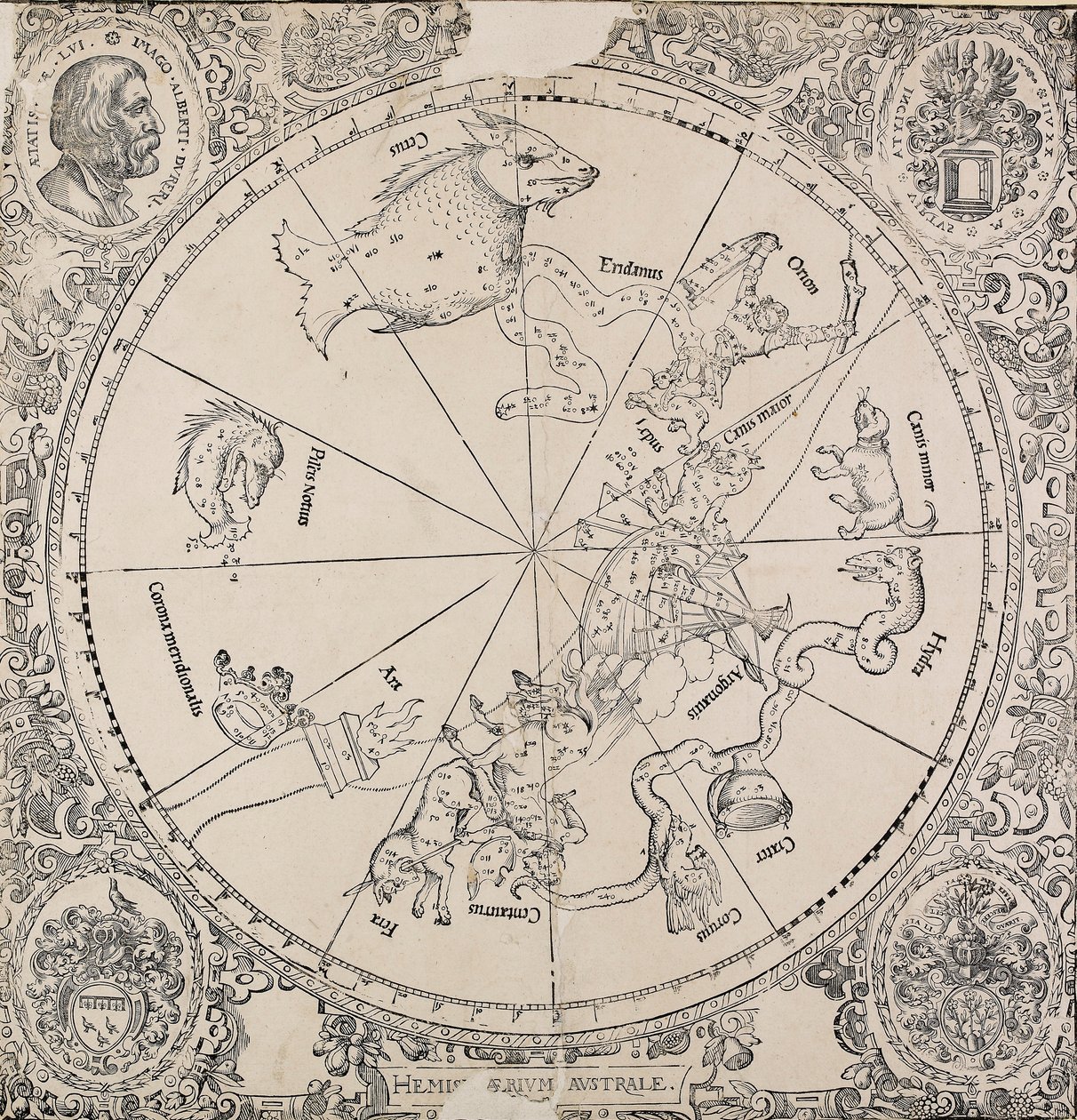 aEteläisen pallonpuoliskon keltainen kartta, 1500-luvun alku tekijältä Albrecht Dürer
